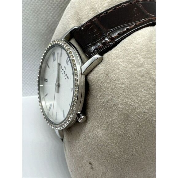 Skagen Denmark SKW2284 Women Brown Leather Analog Dial Quartz Wrist Watch AEA288 main image 5